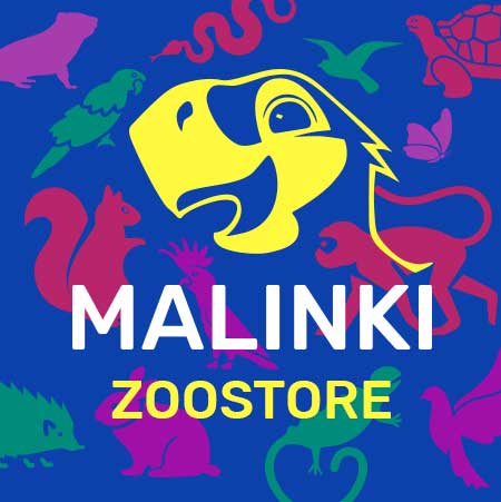 Zoostore Malinki Zoostore Malinki